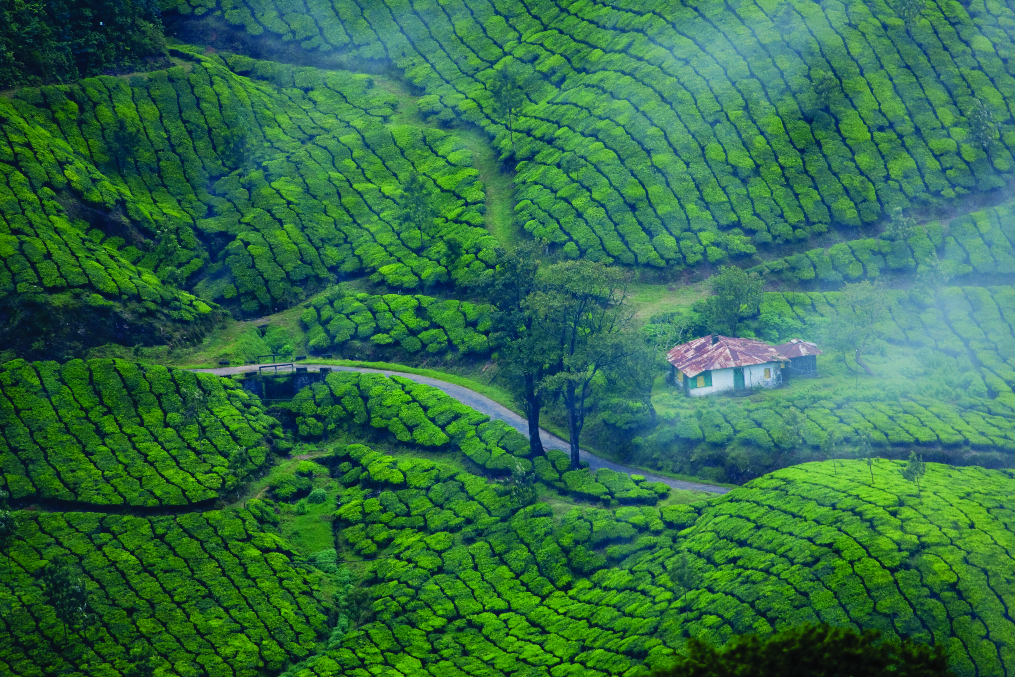 Kerala Quando Andare