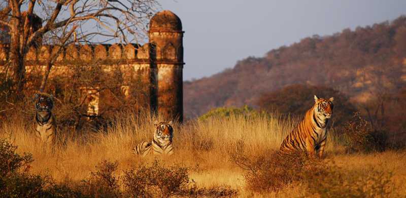 luoghi da visitare a chittorgarh 