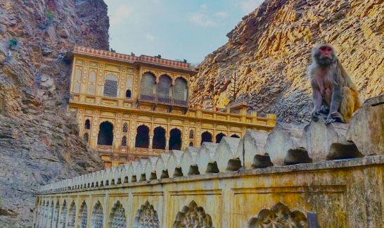 Monkey Temple Jaipur, Rajasthan (quota di iscrizione, orari e storia)